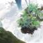Mushishi