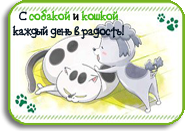 Inu to Neko Docchi mo Katteru to Mainichi Tanoshii