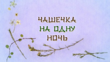 12. Чашечка на одну ночь | Natsume Yuujinchou Go [...