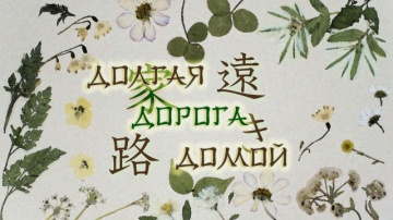 Natsume Yuujinchou Shi 13 [Anything Group]