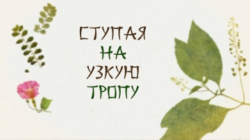 Natsume Yuujinchou Go - 09 [AG]