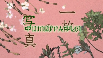 Natsume Yuujinchou Shi 11 [Anything Group]