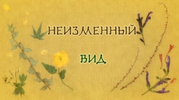 Тетрадь Дружбы Нацуме 5 | Natsume Yuujinchou Go - ...