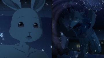 10. За этим пухом хоть на край света | Выдающиеся ...