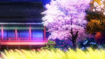 08. Старый койот и сад падающих звезд | Оккультные...