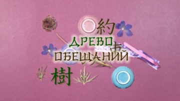 05. Древо обещаний | Zoku Natsume Yuujinchou [Anyt...