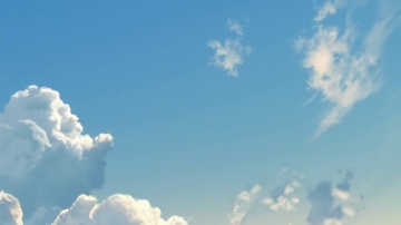 02. Капли дождя на зелёных листьях | Koi wa Ameaga...