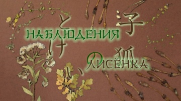 08. Наблюдения лисёнка | Natsume Yuujinchou San [A...