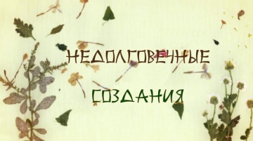 Natsume Yuujinchou Go - 11 END [AG]