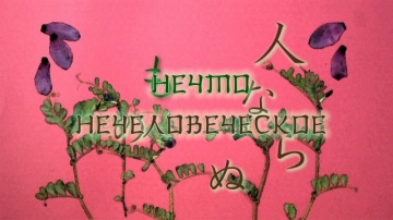 06. Нечто нечеловеческое | Natsume Yuujinchou San ...