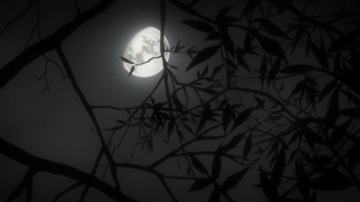 Мастер Муши 12 / Mushishi 12 [Anything Group]